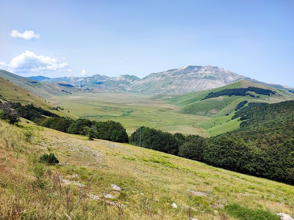 Fioritura di Castelluccio